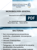 Estructura Bacteriana PP