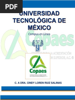 Qué Es El COPAES | PDF | Educación más alta | México