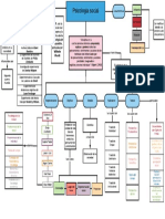 Psicologia Social Mapa