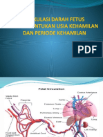 Sirkulasi Darah Fetus