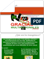 Transgénicos