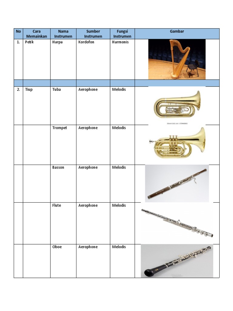 Classification of Musical Instruments Used in Orchestras Based on Their