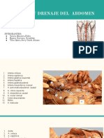 Sesión 41 (IRRIGACIÓN Y DRENAJE DEL ABDOMEN)