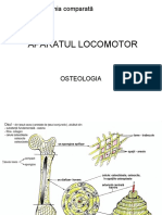 26220941 Anatomia Comparată