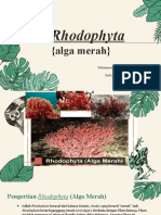 Rhodophyta (Ganggang Merah)
