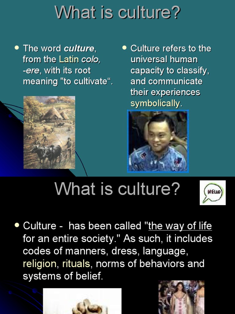 Understanding Culture: Key Elements Explained | PDF | Social Science