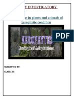 Adaptations in Plants and Animals of Xerophytic Condition: Biology Investigatory Project