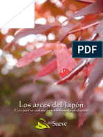 Guía de Los Arces Del Japón