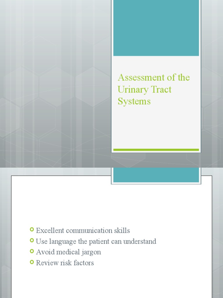 Comprehensive Kidney Assessment Guide | PDF | Kidney | Urine