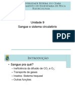 09 - Circulação 2021