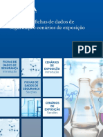 sds_es_guide_pt