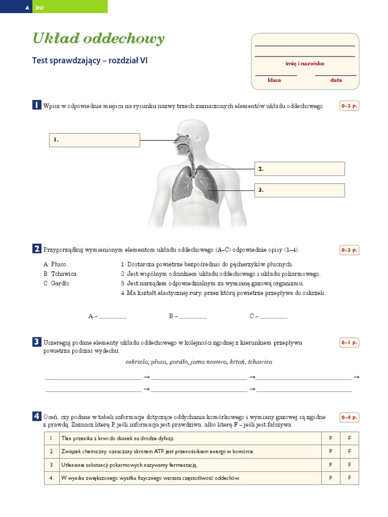 Test Układ Oddechowy Klasa 7