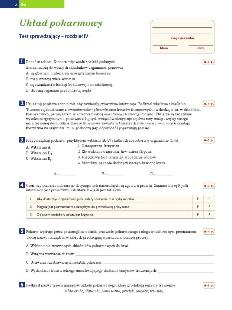 Układ Pokarmowy Klasa 7 Test Test Uklad Pokarmowy | PDF