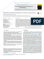 Mitochondria Impaired Mitochondrial Translation in Human Disease