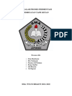 Makalah Biologi Fermentasi Tape Ketan