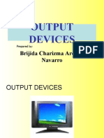 Output Devices: Brijida Charizma Ardoña Navarro