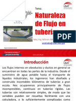 1 Sesion MFII Naturaleza Del Flujo en Tuberias