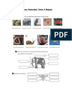 Ciencias Naturales Tema 4 Repaso