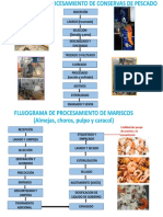 FLUJOGRAMAS DE PESCADOS