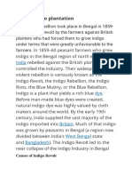 About Indigo Plantation: India