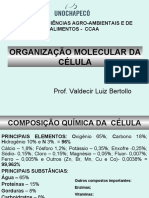 Organização molecular da célula