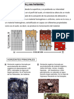 Perfil suelo horizontes