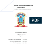 Aplicaciones de Matrices - Ensayo Matemática