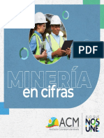 ACM - Mineria en Cifras