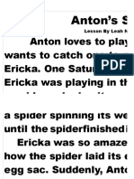 Anton's Spider Story