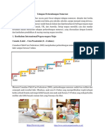 Tahapan Perkembangan Numerasi 1