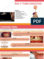 Cavidad Oral y Tubo Digestivo t15