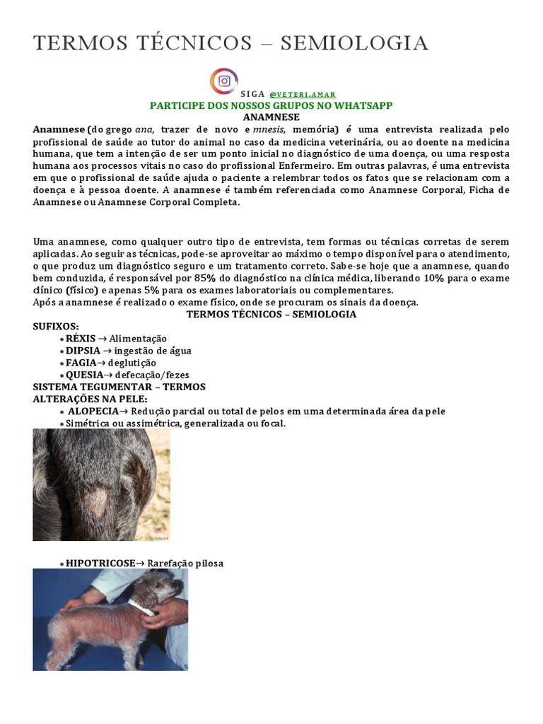 Termos Técnicos em Semiologia Veterinária | PDF | Especialidades médicas |  Medicina Clínica, image size:768x1024