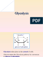 Curs 12 Glycolysis