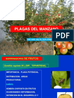 8plagas Del Manzano Al Maracuya-2021
