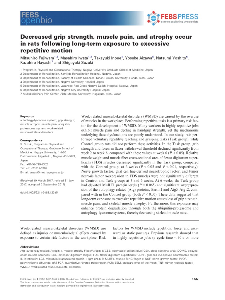 Decreased Grip Strength, Muscle Pain, and Atrophy Occur in Rats Following LongTerm Exposure To
