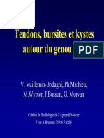 Tendons Bursites Et Kysteautour Du Genou