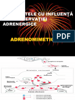 adrenomimetice-2020 (3)