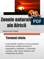 Zonele Naturale Ale Africii