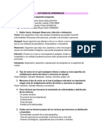 Actividad de Aprendizaje Vectores