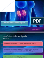 INSUFICIENCIA RENAL AGUDA Semiologia Junio 2016 para Enviar