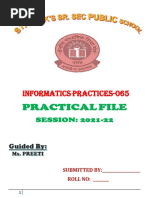 Term 2 Board Practical File