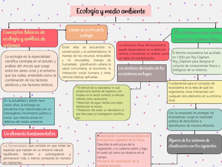 Mapa Conceptual de Ecosistemas y Ecología | PDF | Ecosistema | Ecología