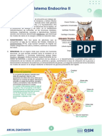 Anatomía Semana 13