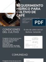 Requerimiento Hídrico para Cultivo de Café