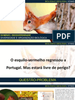 Esquilo-vermelho regressa a Portugal - Livre de perigo
