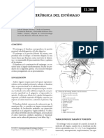 Anatimia Del Estomago y El Duodeno