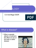 Parasitology: CVL - Inst.Müge ESER