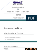 Anato Dorso 3