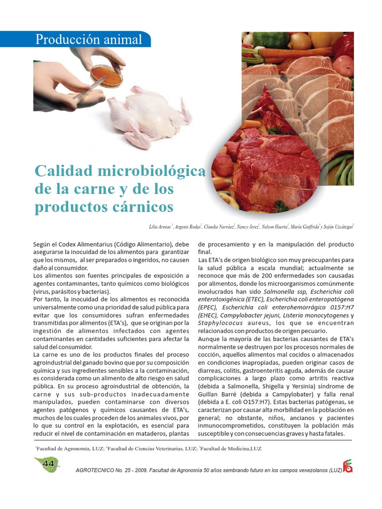 Calidad microbiológica de la carne | PDF | Carne | Alimentos