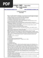 Provas Historia 1 trimestre